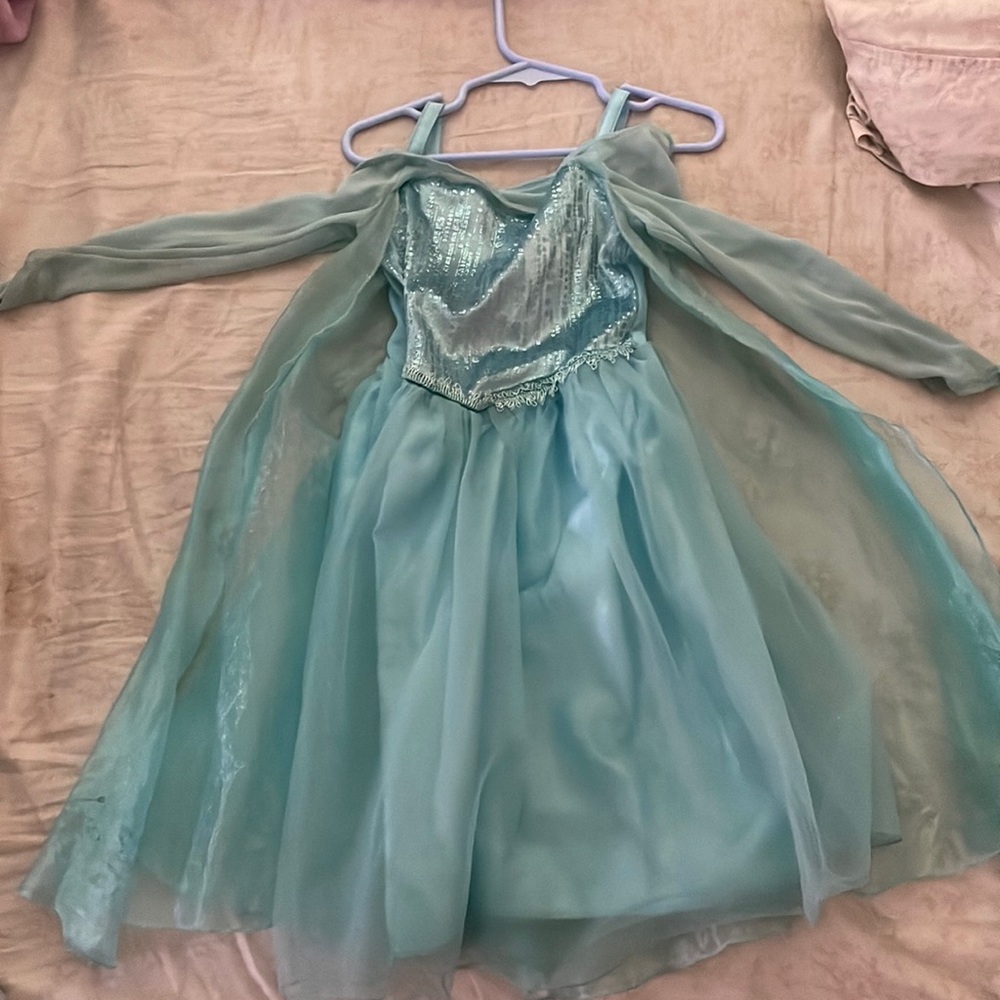 Disney Elsa costume